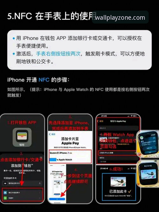 资深用户实测：长城体育官网地址对比与使用心得，避开虚假链接的实战经验